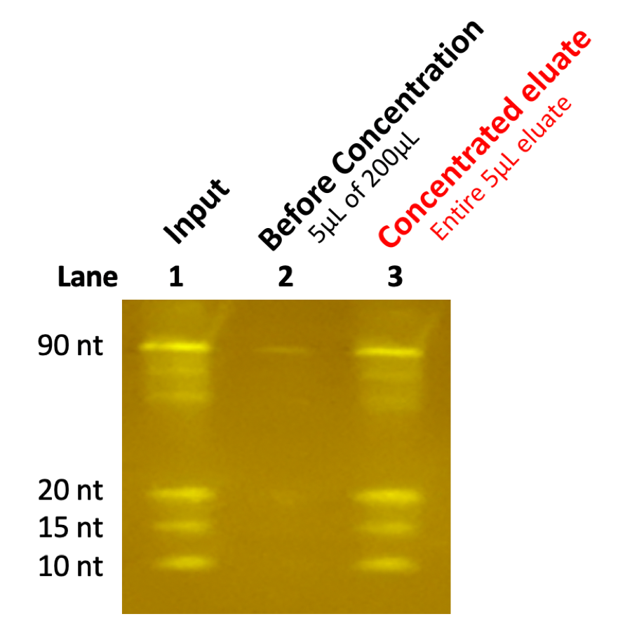 Fig 2. Broad-Range Retention Profile