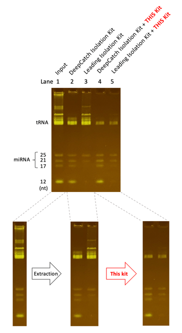 High-Efficiency tRNA Depletion
