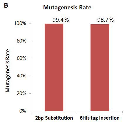 Figure 1B Data